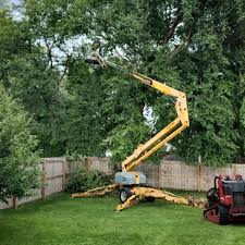 Best Stump Grinding and Removal  in Mcguire Af, NJ