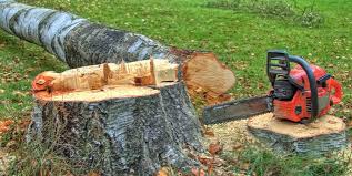 Best Tree Cabling and Bracing  in Mcguire Af, NJ