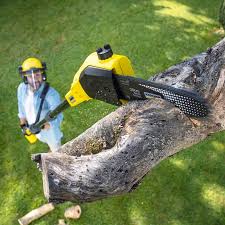  Mcguire Af, NJ Tree Removal Pros