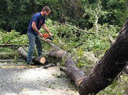 Best Seasonal Cleanup (Spring/Fall)  in Mcguire Af, NJ