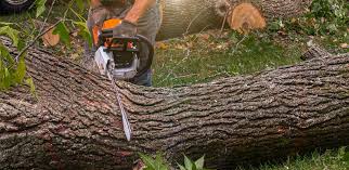 Best Lawn Watering Services  in Mcguire Af, NJ