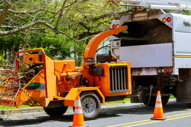 Best Commercial Tree Services  in Mcguire Af, NJ