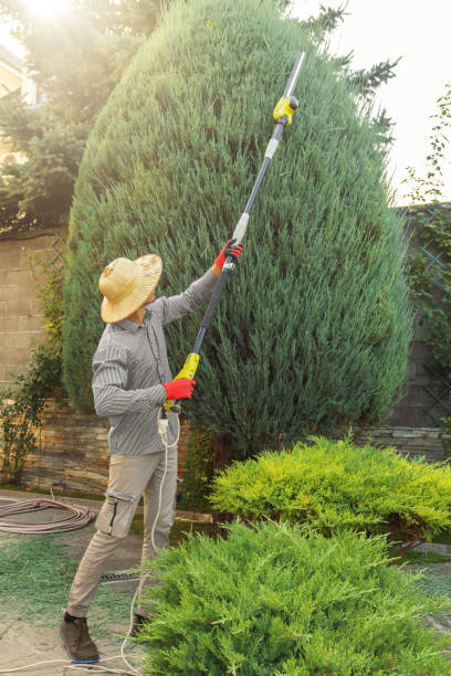 Lawn Irrigation Installation and Maintenance in Mcguire Af, NJ